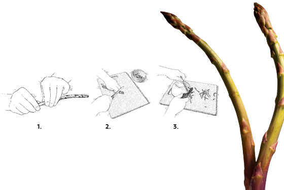 560x375 Mona Talbott's Asparagus And Pastina Soup