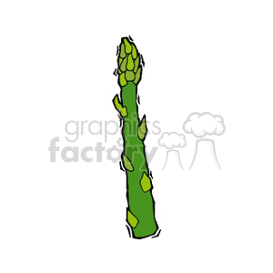 300x300 Asparagus Clipart Royalty Free Clipart