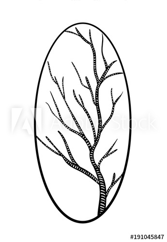 345x500 Aspen Or Birch Dead Tree Branch In A Frame, Black And White Vector