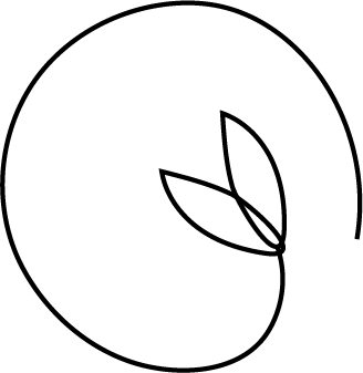 328x337 Behind The Name Aspen And Rose