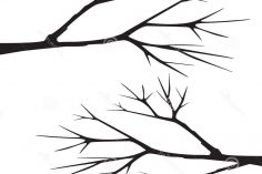 236x157 Branch Drawing Images Aspen Blossom Git Tool Bamboo Carmi Chaelinn