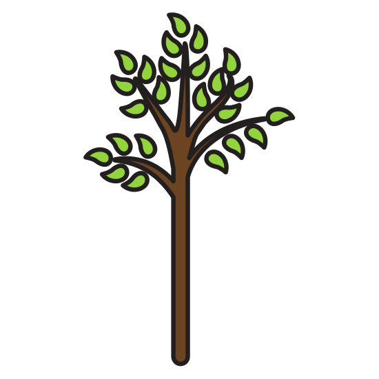 550x550 Collection Of Free Vector Trees Aspen Download On Ui Ex