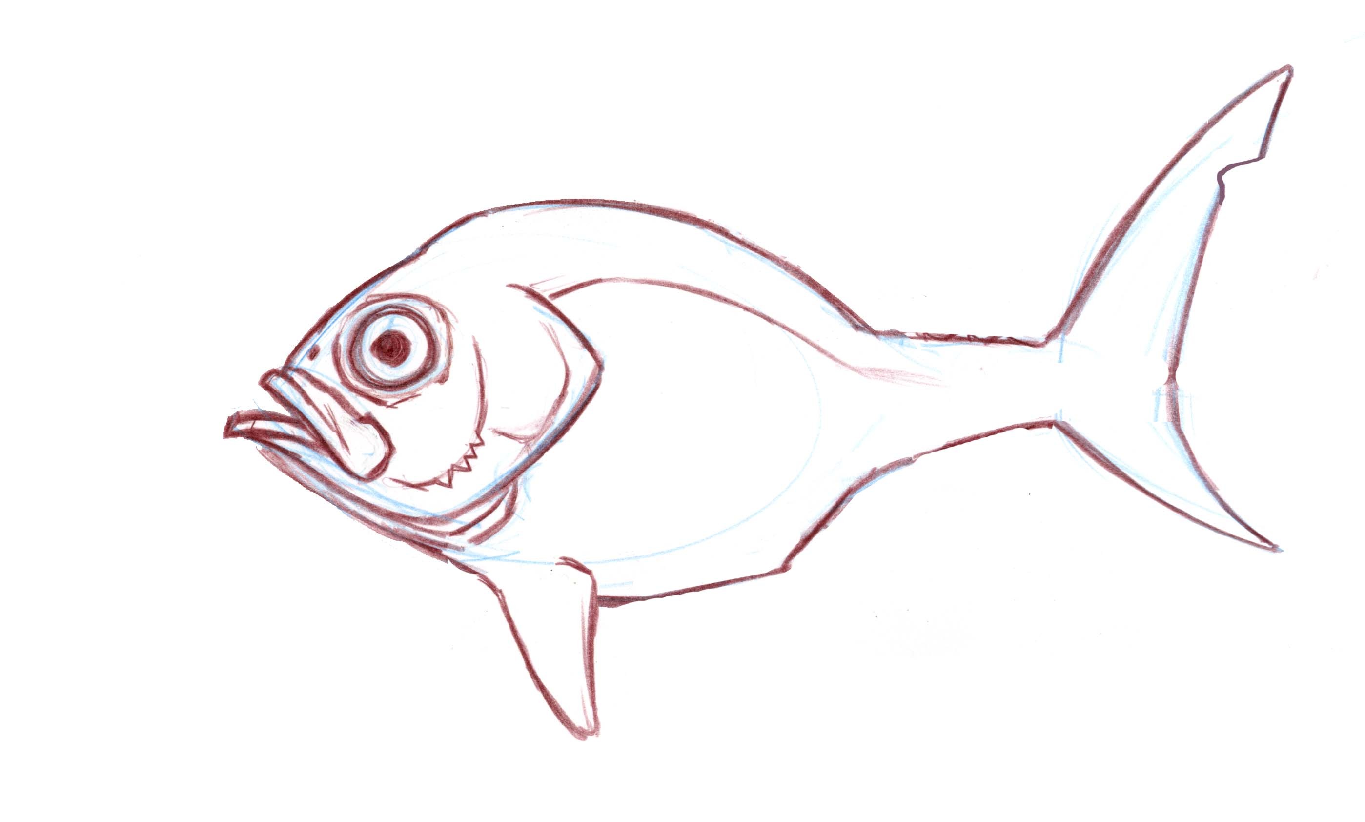 2797x1684 Fish Anatomy For Artists
