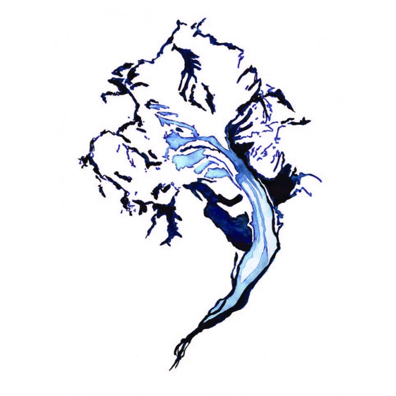 800x800 Drawing Workshop Animated Adultschildren With Delphine Costier