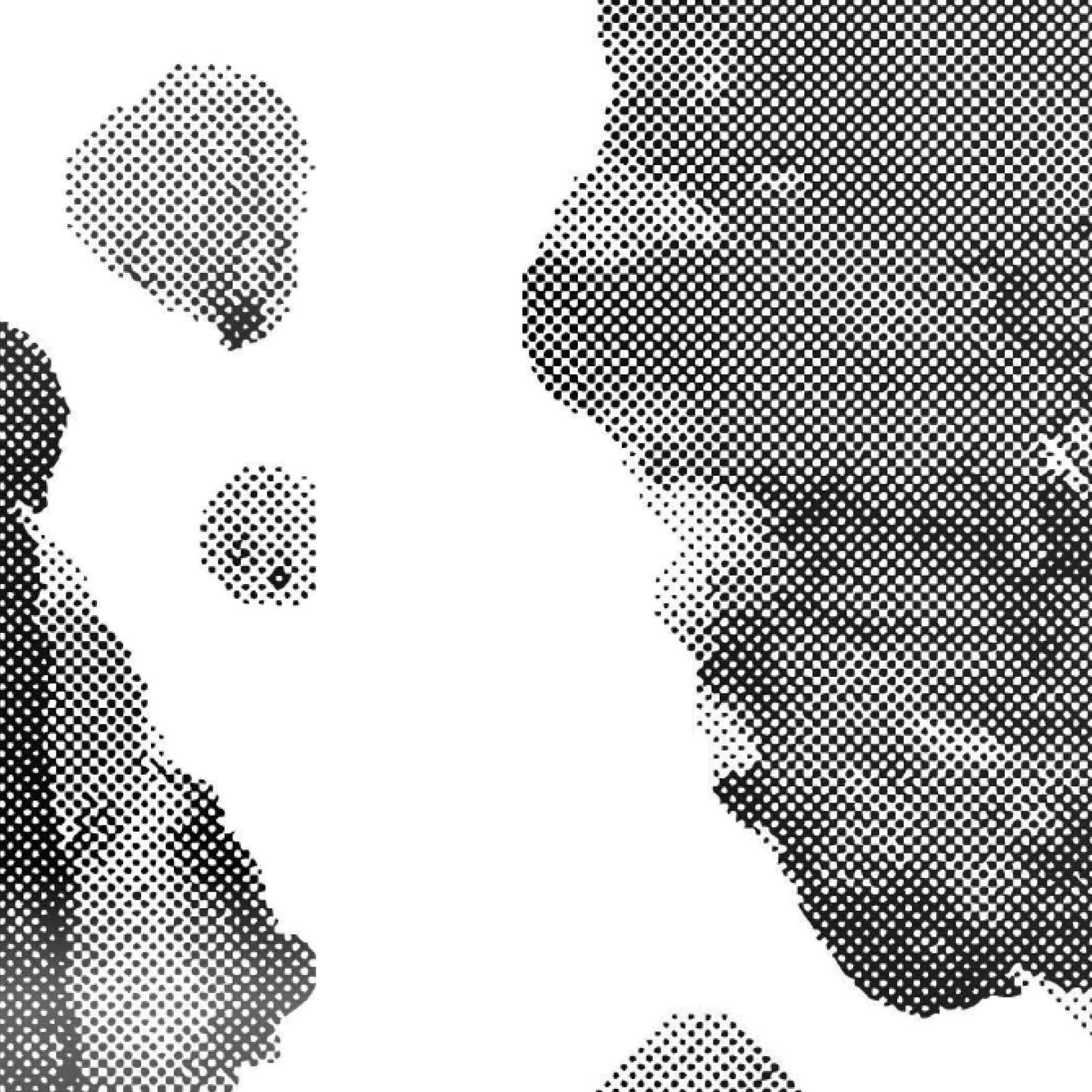 1765x1765 Twins Go Electric