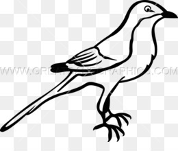 260x220 download kill a mockingbird drawing clipart to kill a mockingbird