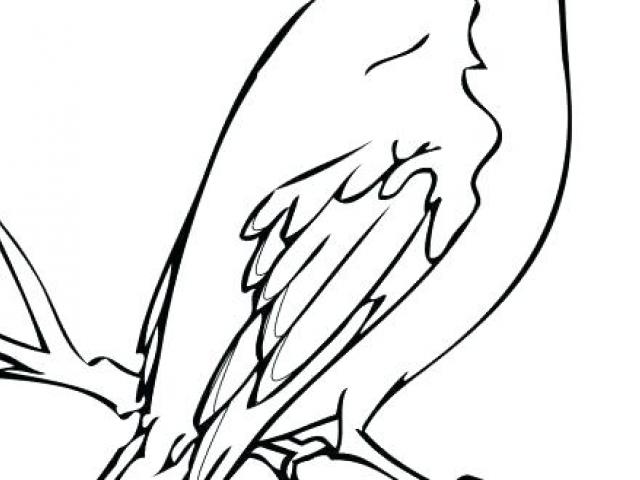 640x480 Free Drawn Mockingbird, Download Free Clip Art