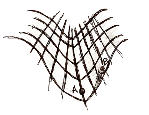 504x389 Epigenetic Landscape Point A Denotes 'deep Set' Attitude, As Time