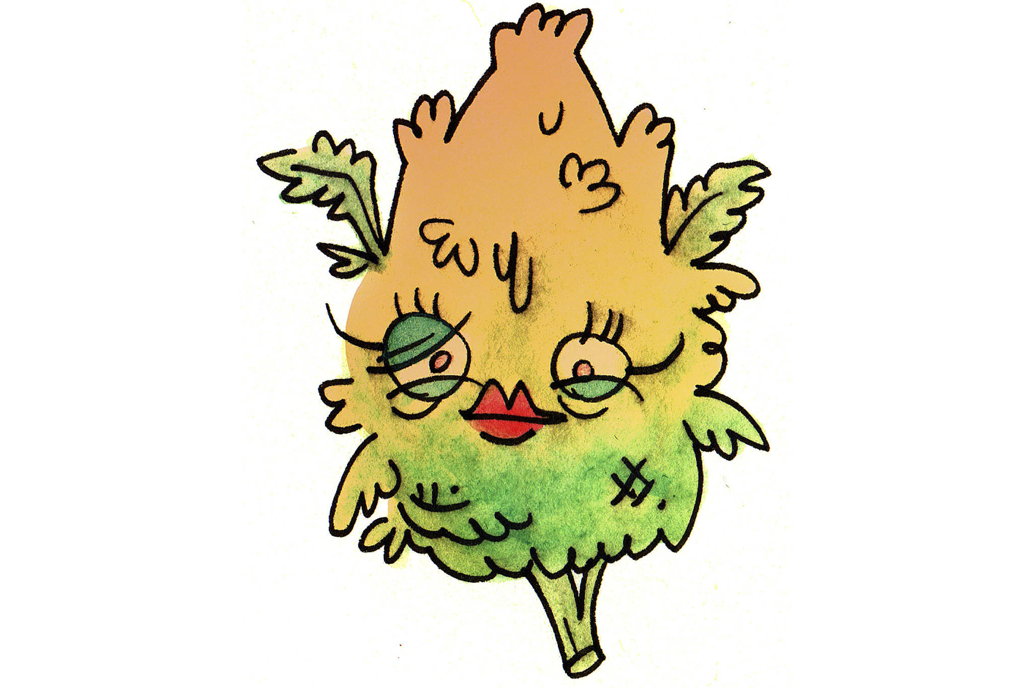 2048x1365 Mary Jane And Aunt Flo Seattle Weekly