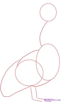 236x393 How To Draw Australia Group With Items