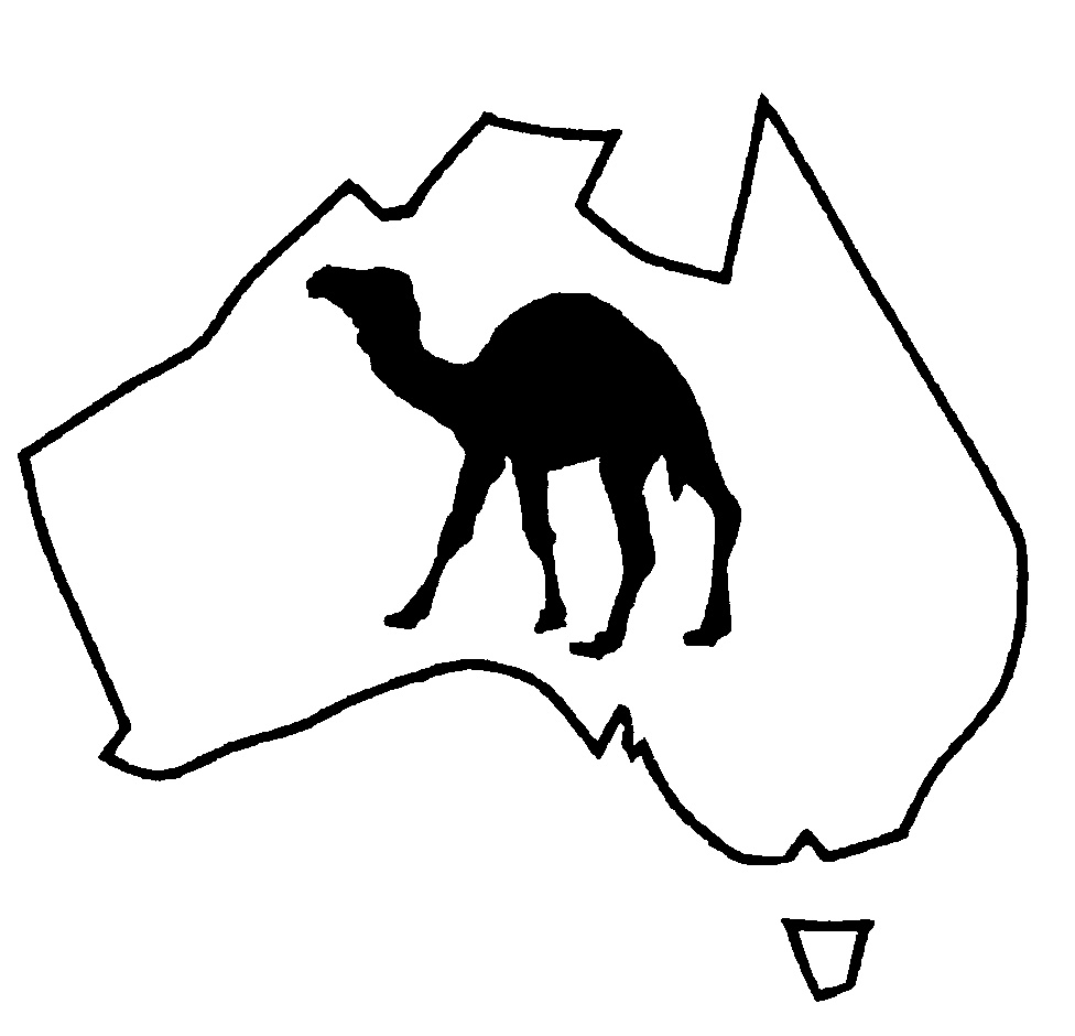 976x940 Australia Drawing For Free Download