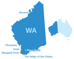 300x240 Quokka Drawing West Australian Transparent Png Clipart Free