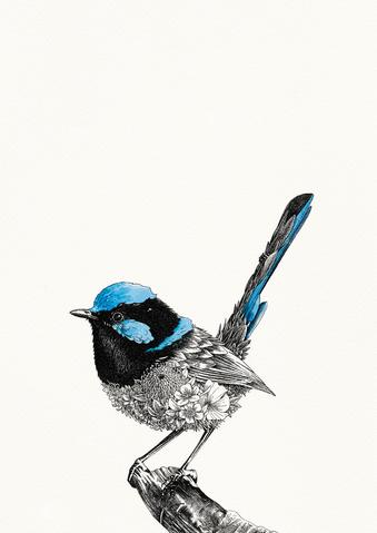 339x479 Australian Wildlife Collection Marini Ferlazzo