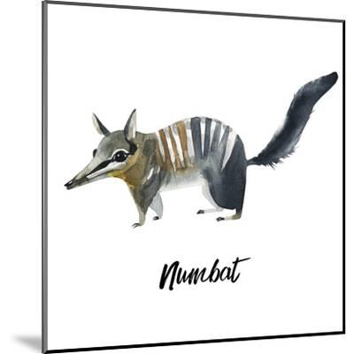 400x400 Australian Animals Watercolor Illustration Hand Drawn Wildlife