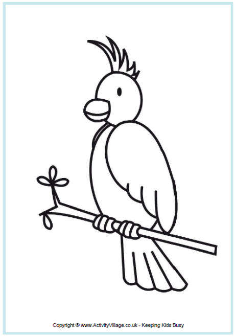 460x657 Australian Animal Colouring Pages