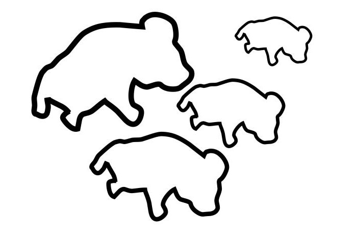 700x460 Australian Animal Template