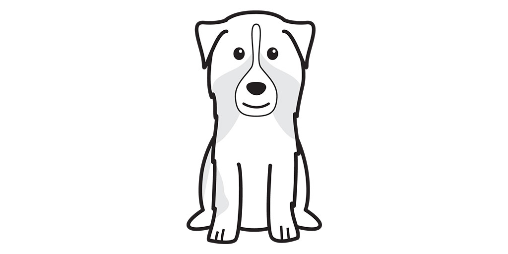 1024x512 Australian Shepherd Linear Edition Dog Breed Cartoon