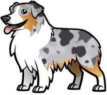 221x197 australian shepherd no tail posse favs australian shepherd