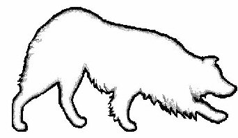 342x199 Australian Shepherd Information