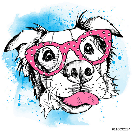 500x500 Image Portrait Of A Dog Australian Shepherd Wearing The Glasses