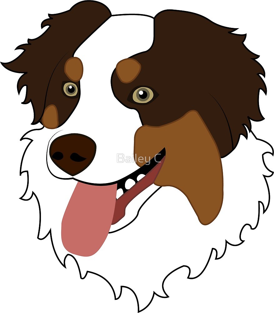 877x1000 Red Tri Australian Shepherd