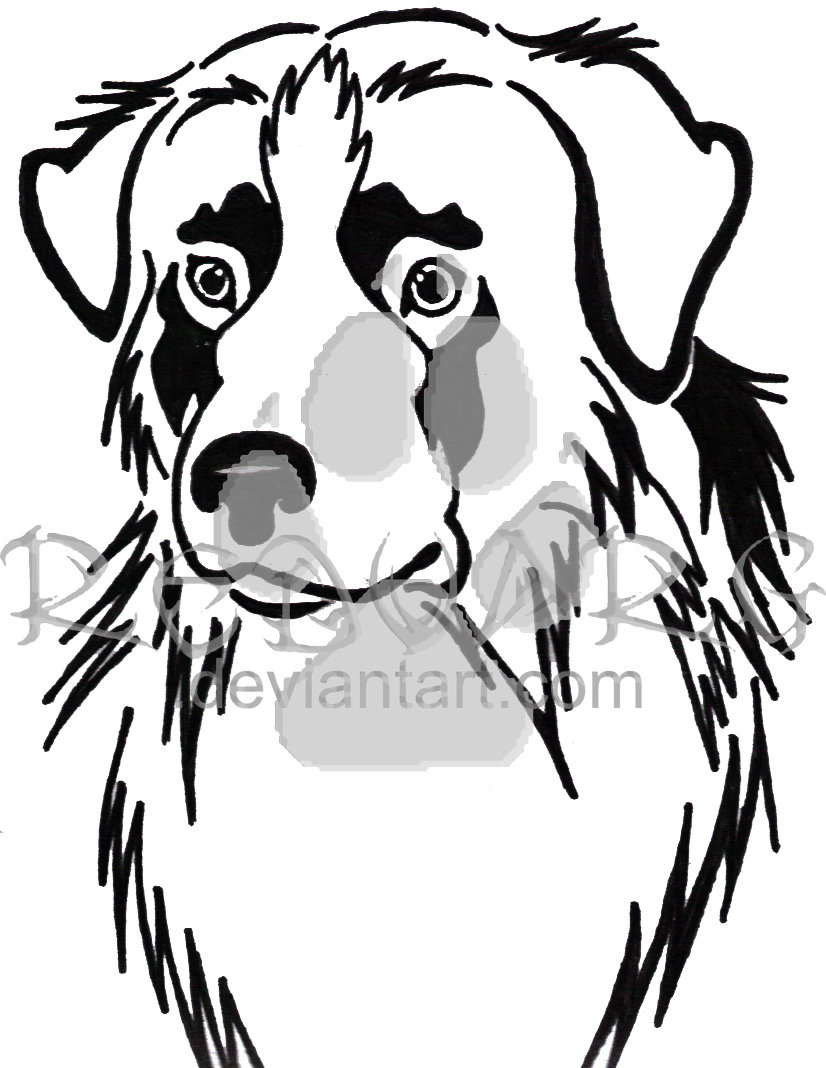 826x1068 aussie shepherd clipart