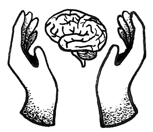 520x448 genes, ozone, and autism fourth ventricle