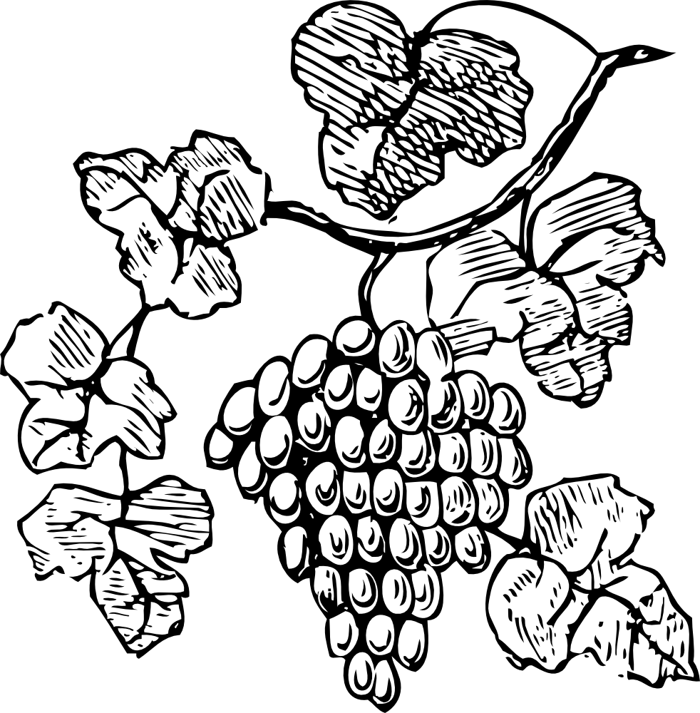 982x1000 Collection Of Free Automatic Drawing Simple Download On Ui Ex