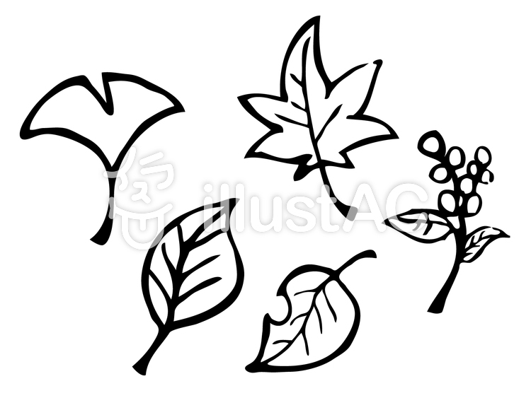 750x563 Clipart Resolution