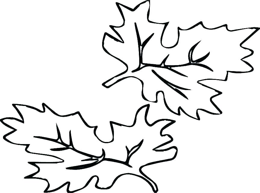 863x643 Coloring Pages For Fall Leaves Autumn Leaves Coloring Pages