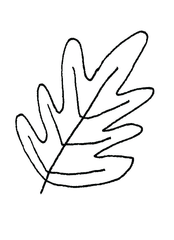 600x827 Oak Leaf Outline Line Drawing At Free For Personal Use Fall