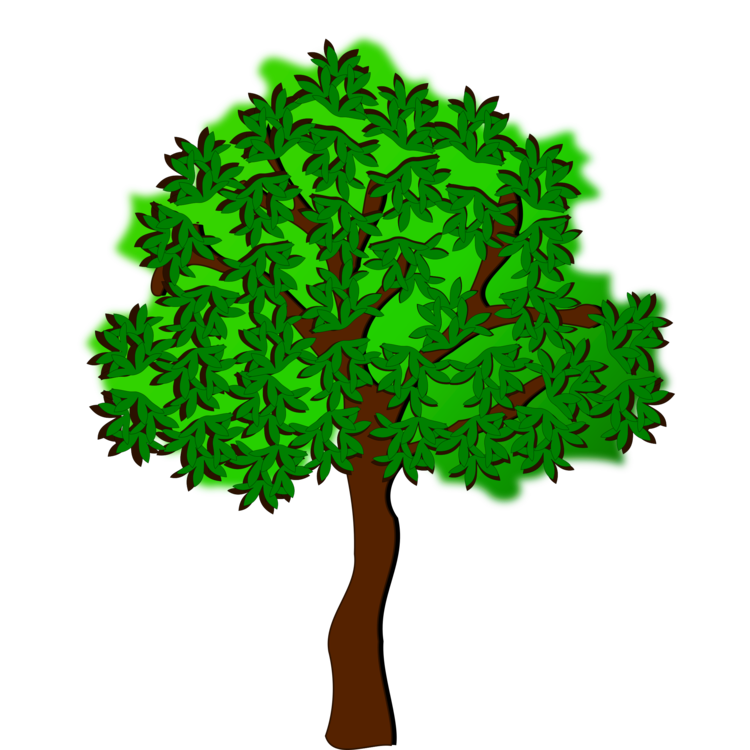 750x750 Summer Season Tree Autumn Drawing Cc0