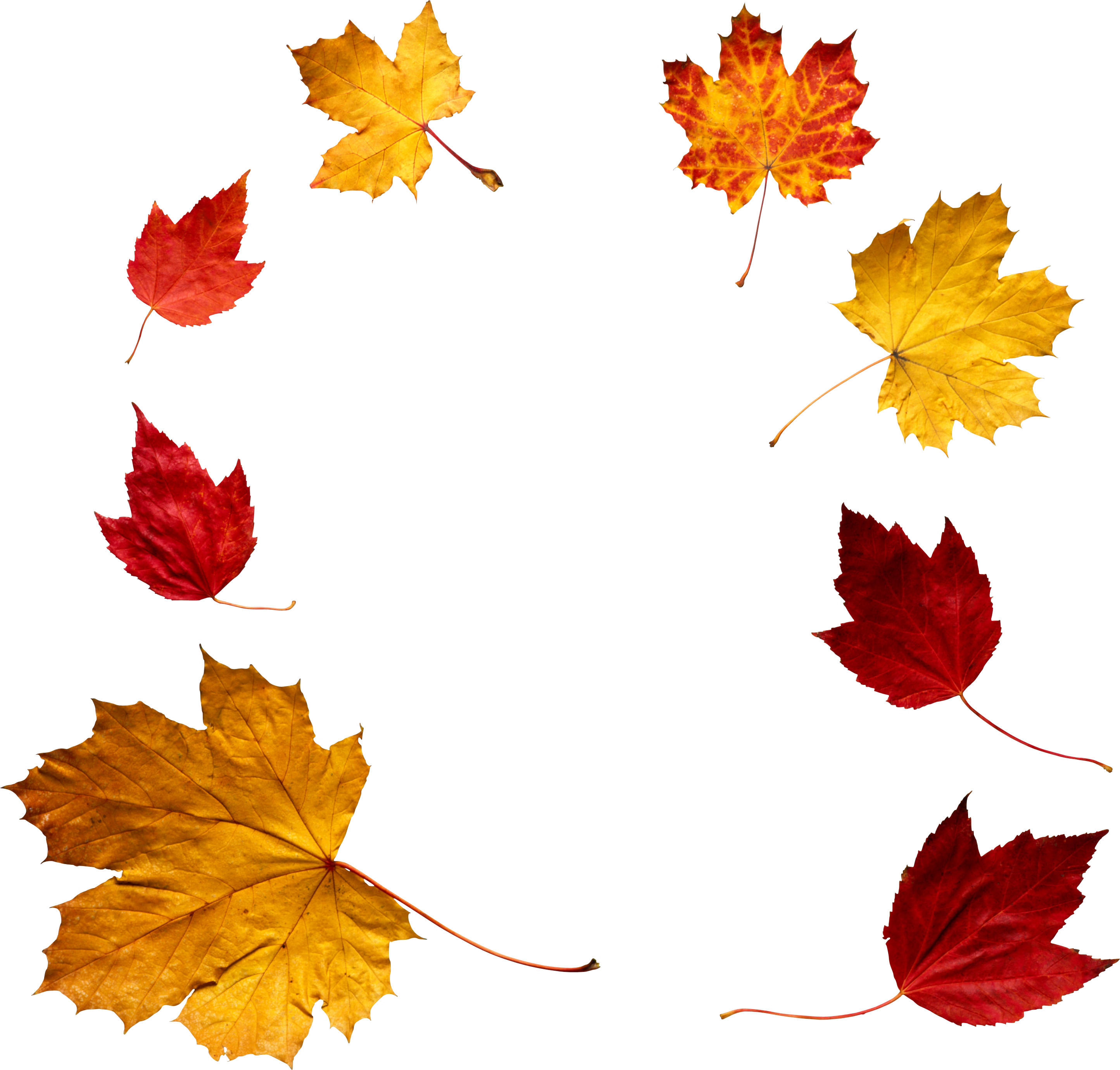 2889x2759 Drawing Thing Autumn Transparent Png Clipart Free Download