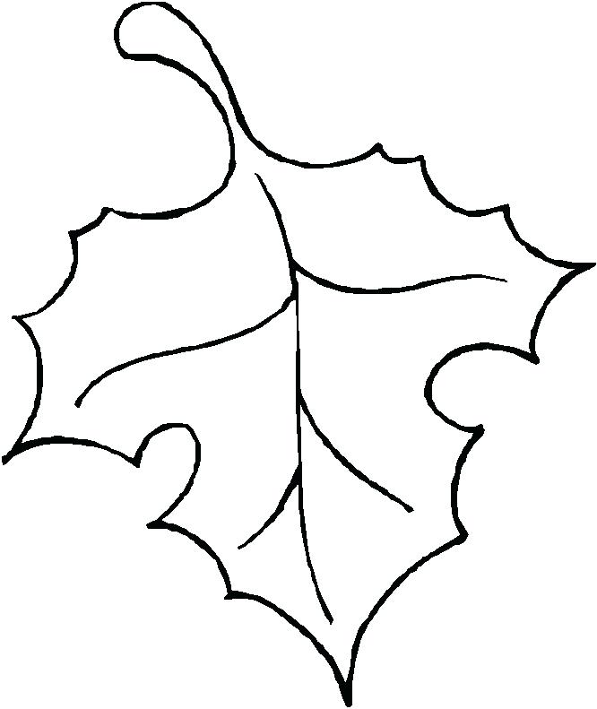 666x791 Fall Leaf Drawing Fall Leaves Drawing Best Autumn Images On Autumn