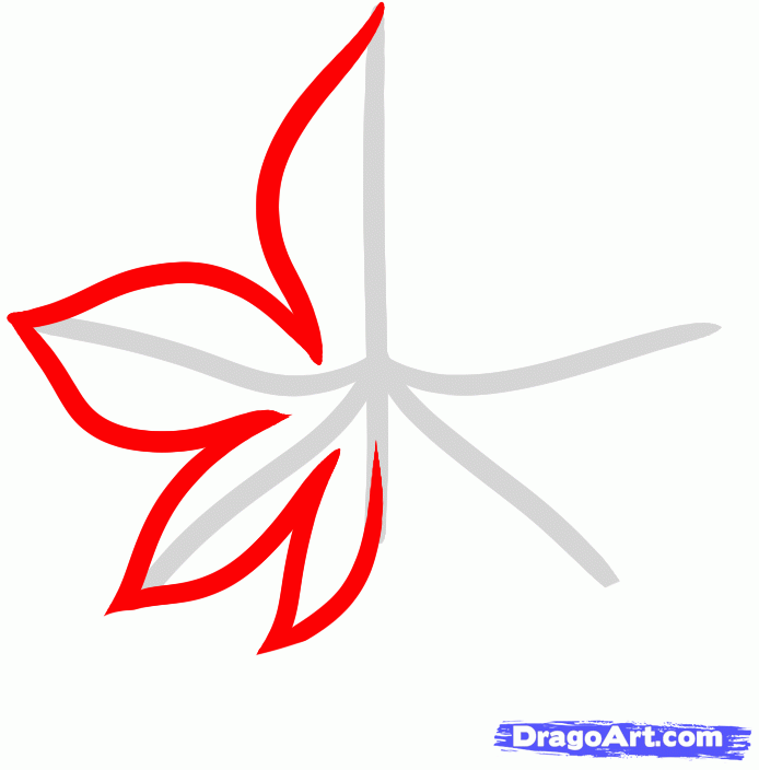 694x704 How To Draw An Autumn Leaf, Step