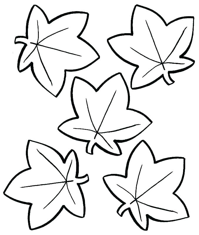 677x800 Autumn Leaf Backgrounds