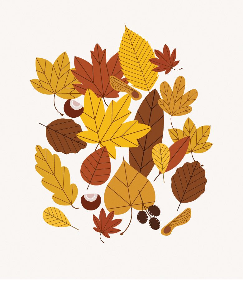 780x900 Autumn Leaves