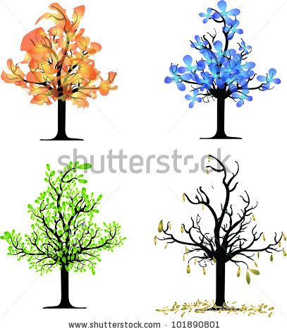 407x470 Four Seasons Tree Drawing Trees Four Seasons