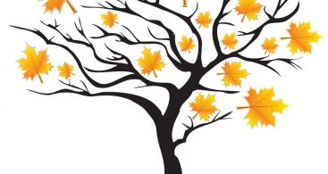 367x195 Autumn Tree Vector Archives