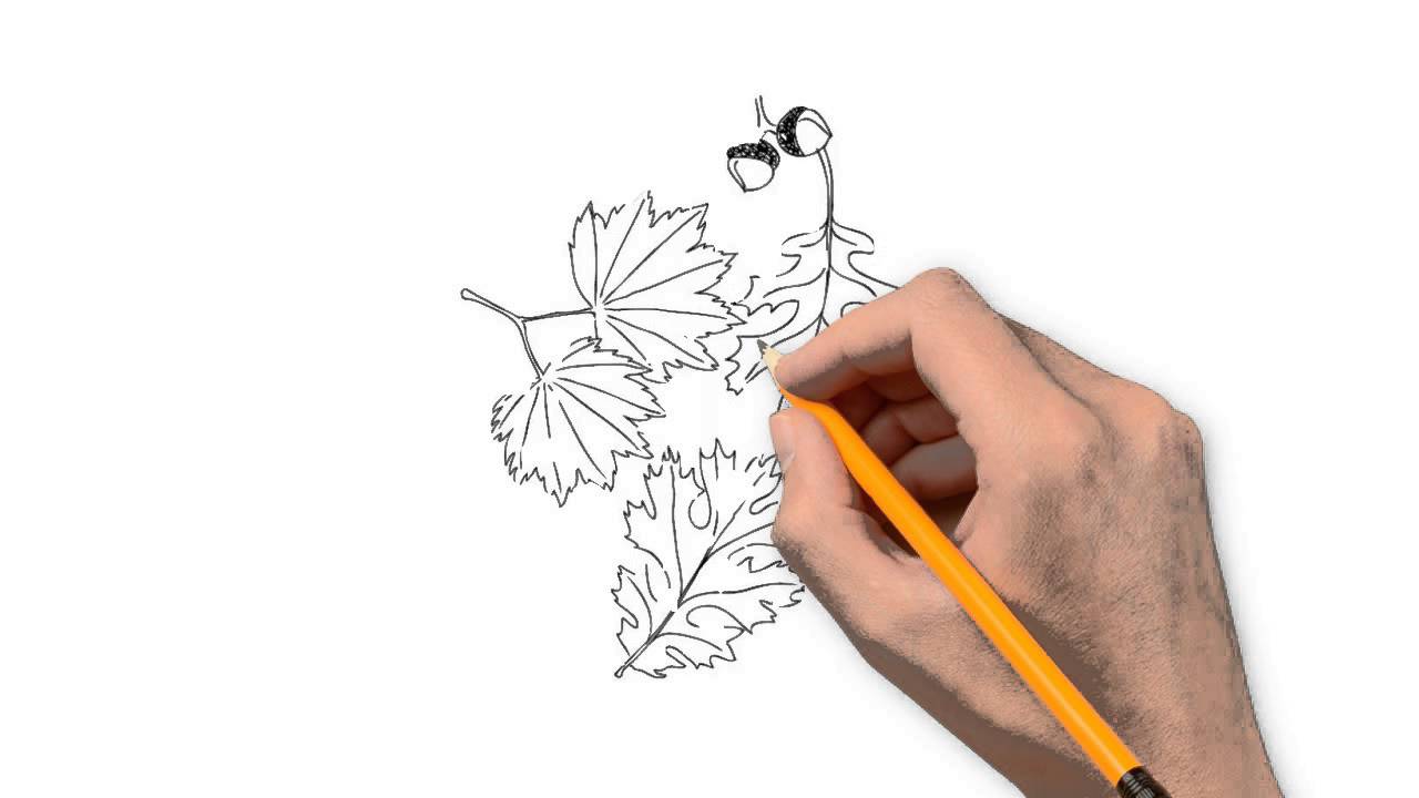 1280x720 Autumn Leaves Nature Pencil To Draw Step