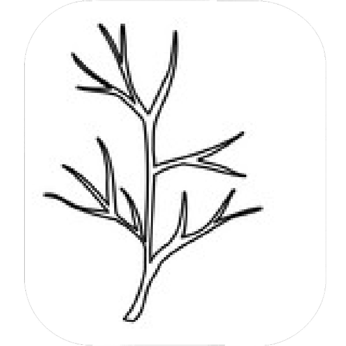 1200x1200 Designs Mein Mousepad Design Mousepad Selbst Designen