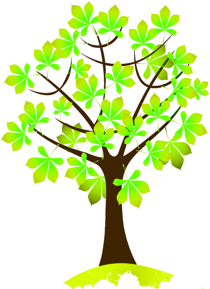 722x995 Drawing, Tree, Leaf, Transparent Png Image Clipart Free Download