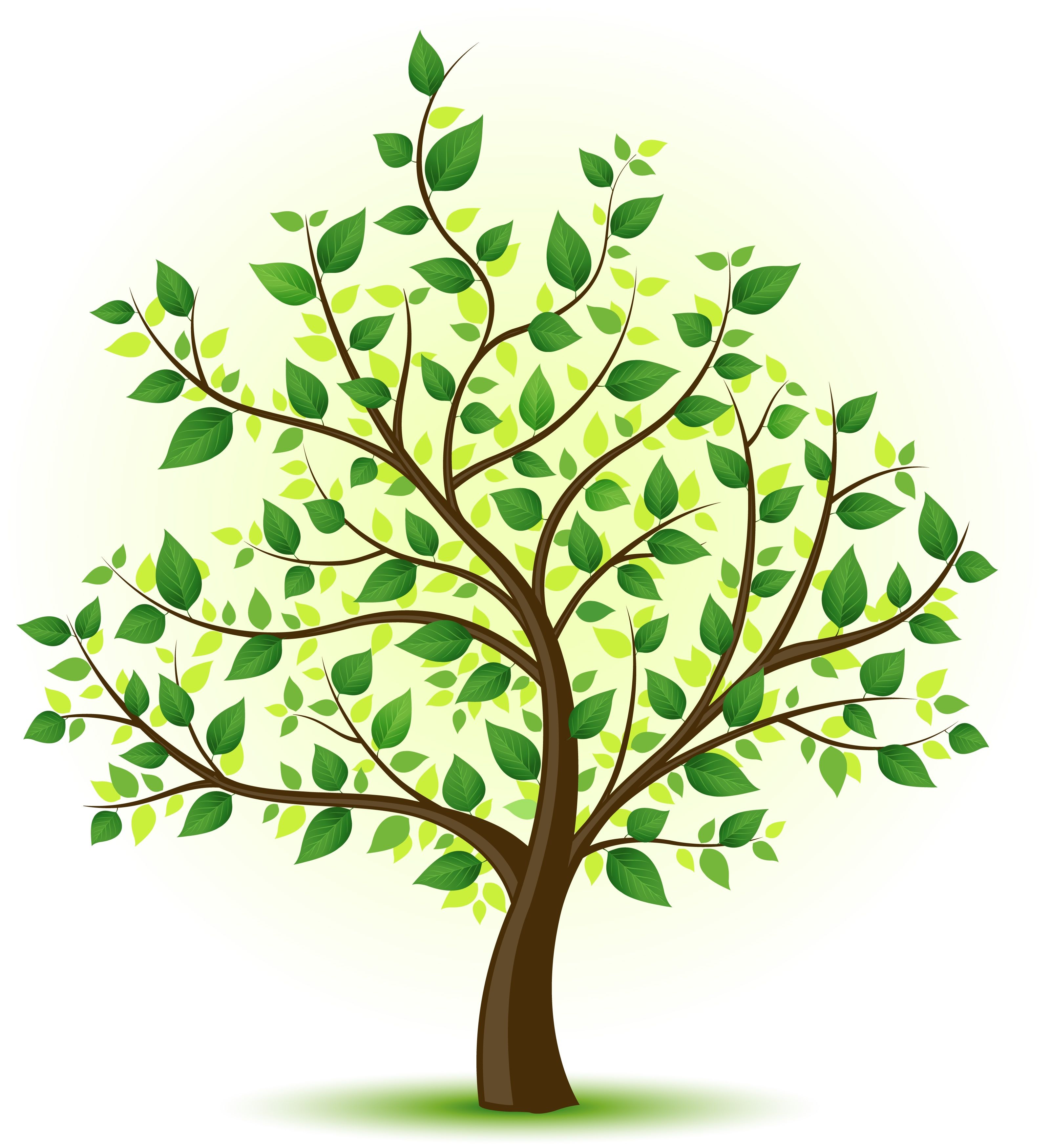 3200x3500 The Gallery