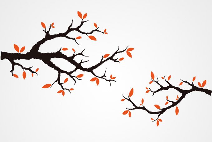 680x455 Branch Outline Autumn Tree Branches Vector