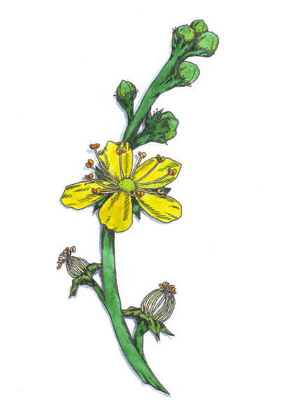 Avalanche Drawing | Free download on ClipArtMag