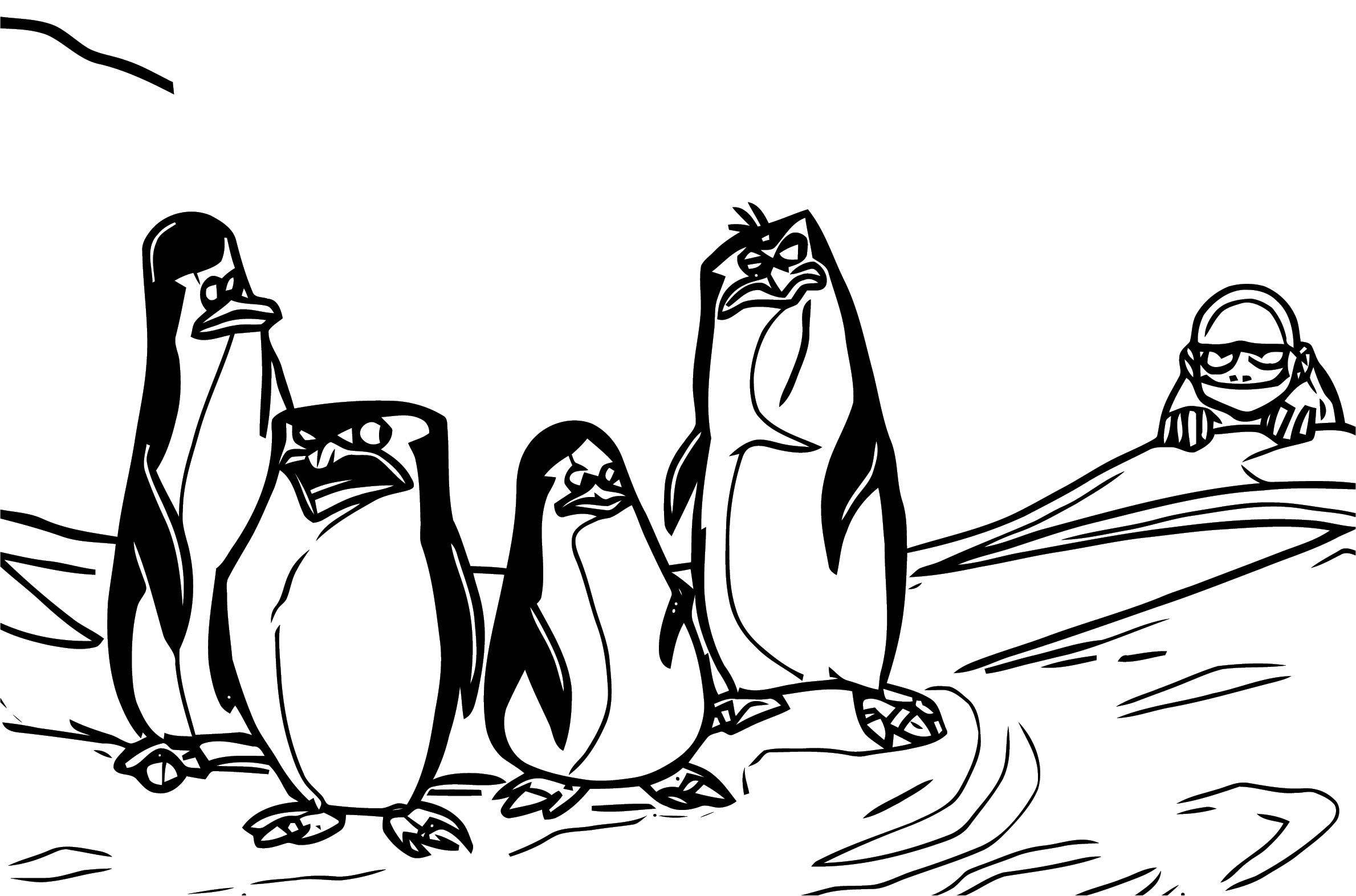 2379x1572 Madagascar And Aang Avatar The Last Airbender Avatar Aang Coloring