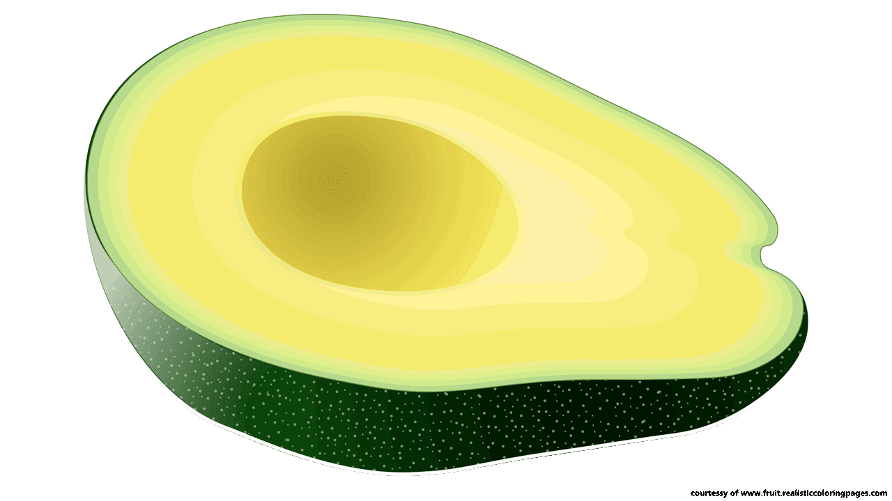 Avocado Drawing