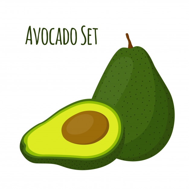 626x626 Avocado Vectors, Photos And Free Download