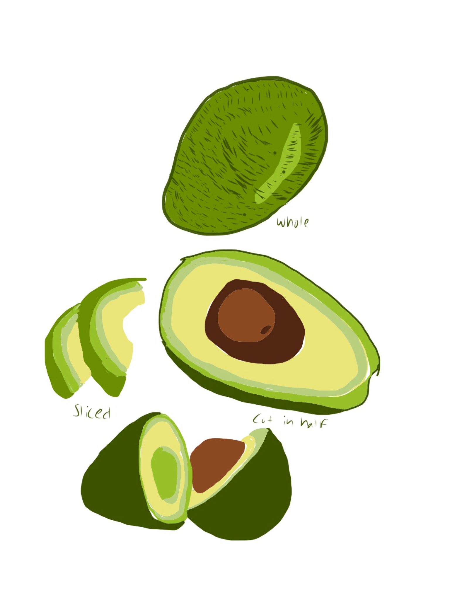 1536x2048 avocado drawing my artwork artwork, drawings, art