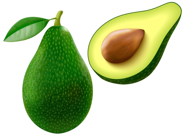 600x441 Collection Of Free Avocado Drawing Pear Download On Ui Ex